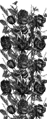 Picture of CUSTOM BLACK AND WHITE BOTANICAL II