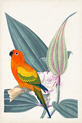 Picture of UA TROPICAL BIRD AND FLOWER IV