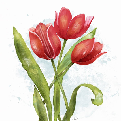 Picture of RED TULIP SPLASH II