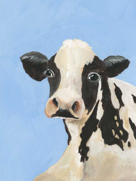 Picture of COW-DON BLEU III