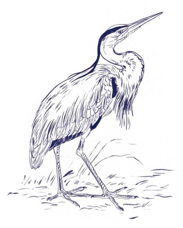 Picture of INDIGO HERON II