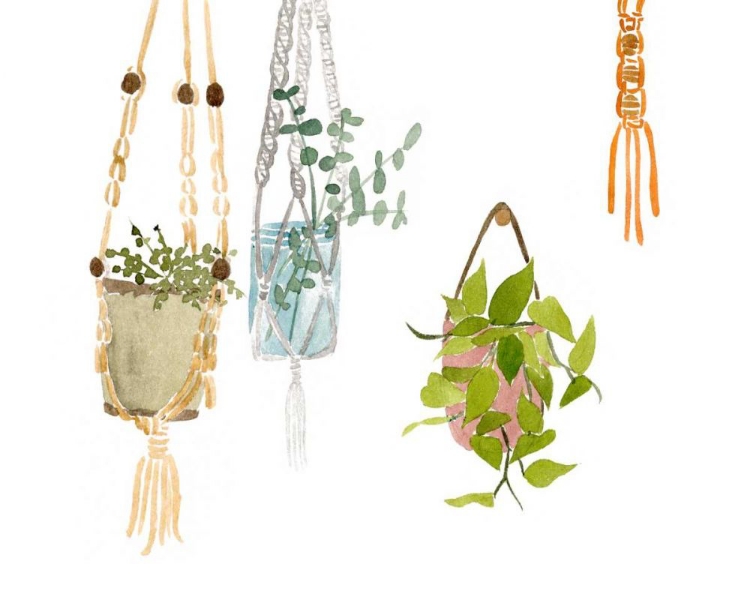 Picture of HANGING GREENS II