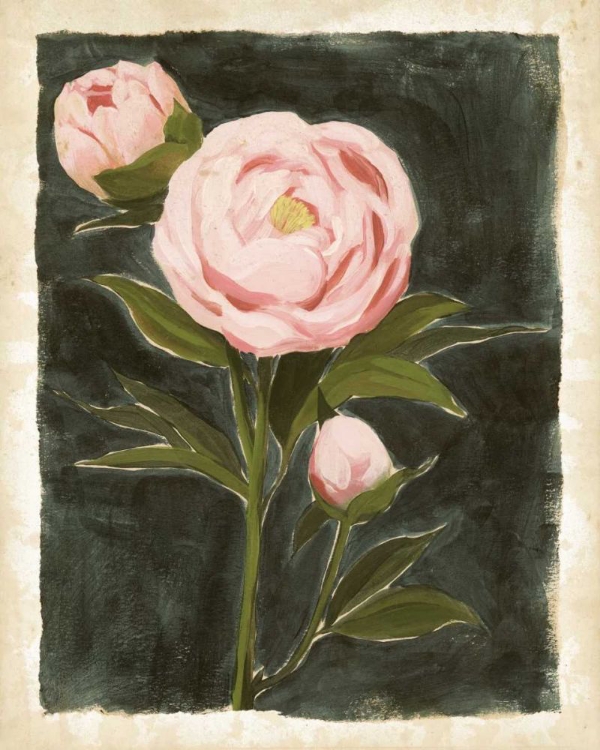 Picture of VINTAGE PEONIES I