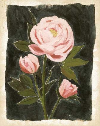 Picture of VINTAGE PEONIES II