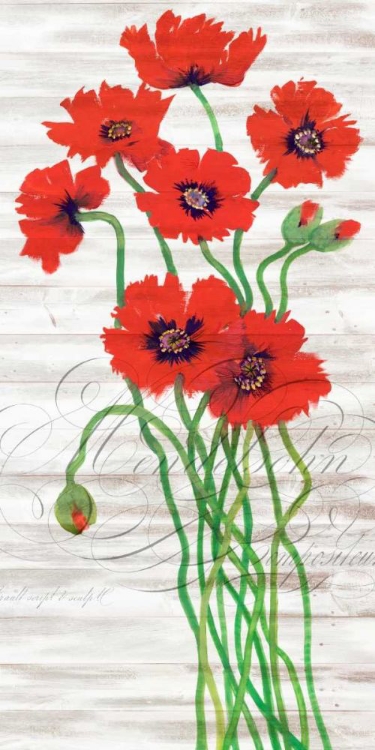 Picture of RED POPPY PANEL I