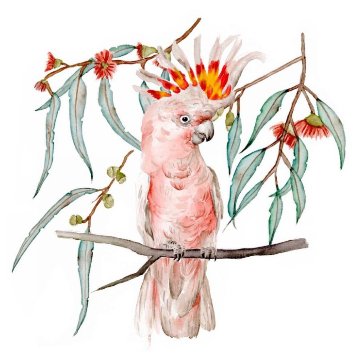 Picture of PINK COCKATOO II