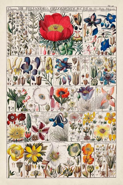 Picture of FLORAL CHART