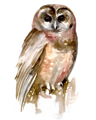 Picture of WATERCOLOR OWL II