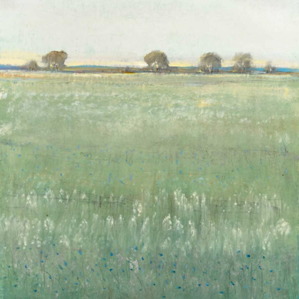 Picture of GREEN MEADOW I