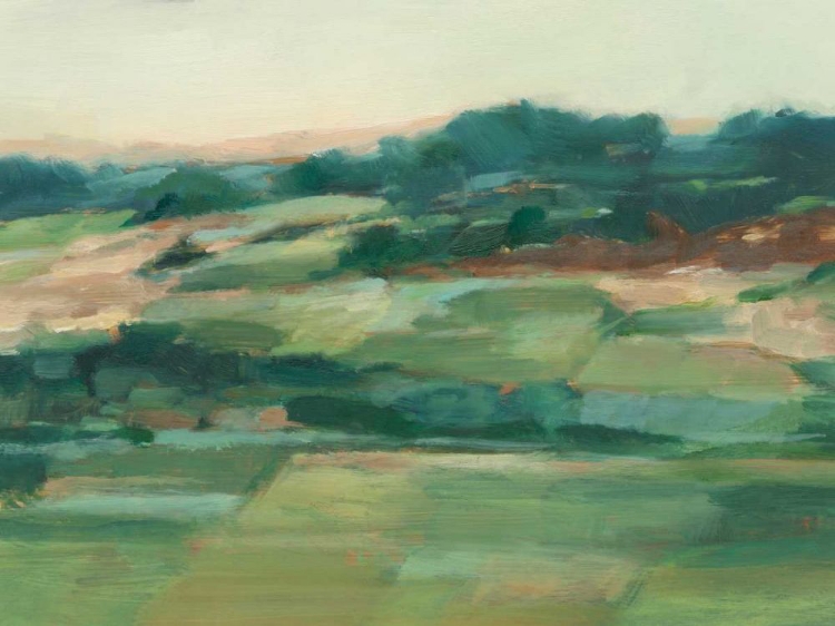 Picture of VAST FIELDS II