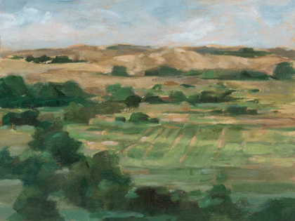 Picture of VALLEY FIELDS I