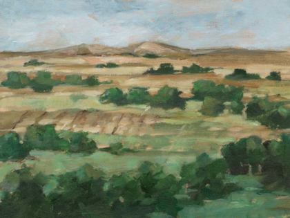 Picture of VALLEY FIELDS II