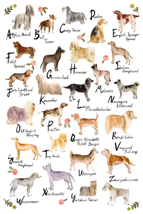 Picture of DOG ALPHABET