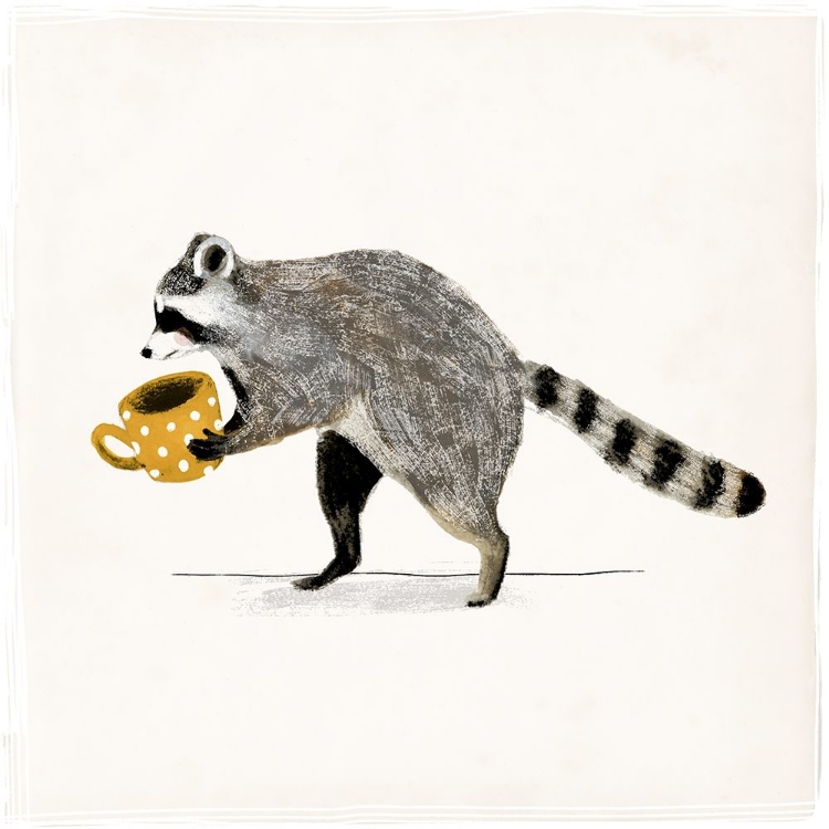 Picture of RASCALLY RACCOON III