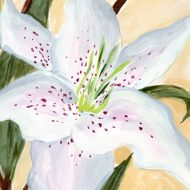 Picture of WHITE LILY I