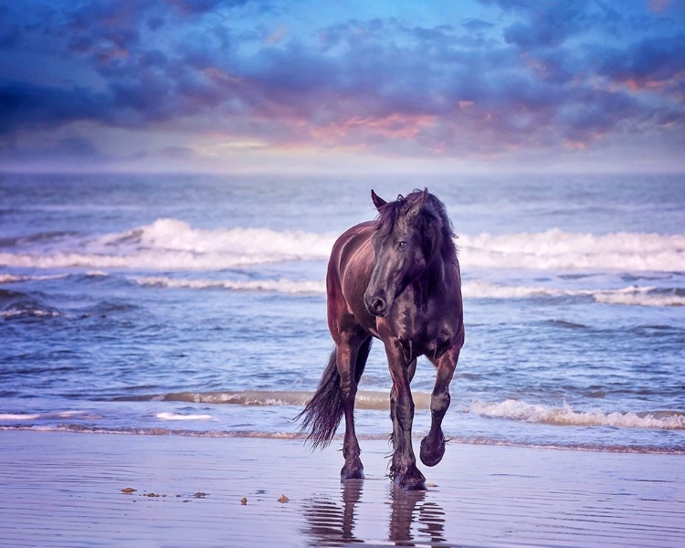 Picture of RUNNING IN THE SAND I