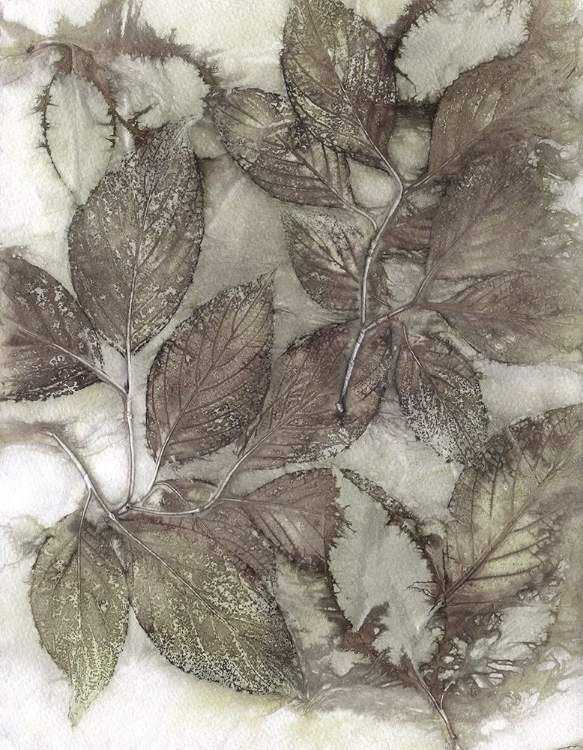 Picture of DOGWOOD LEAVES III