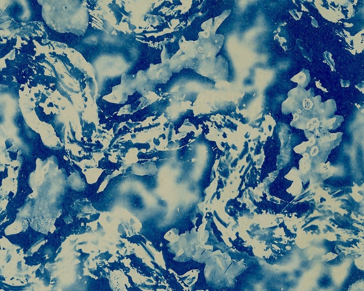 Picture of TEXTURES IN BLUE III