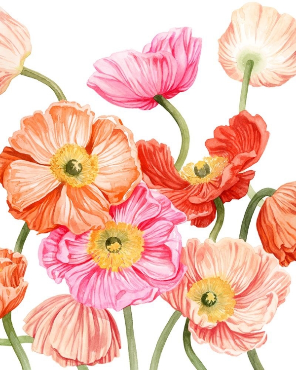 Picture of BRIGHT POPPIES II
