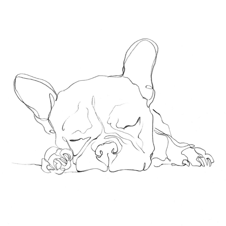 Picture of FRENCH BULLDOG CONTOUR I