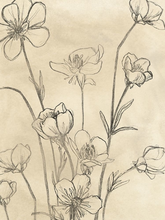 Picture of VINTAGE WILDFLOWERS II