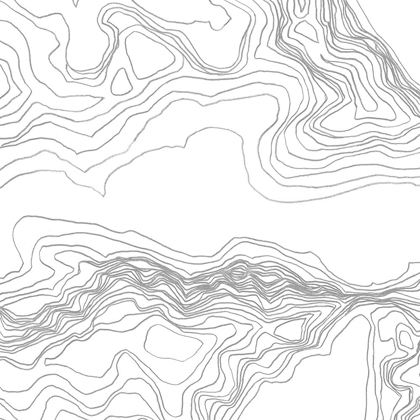 Picture of TOPOGRAPHY CONTOUR I