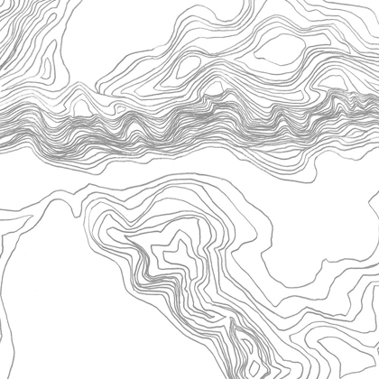 Picture of TOPOGRAPHY CONTOUR II