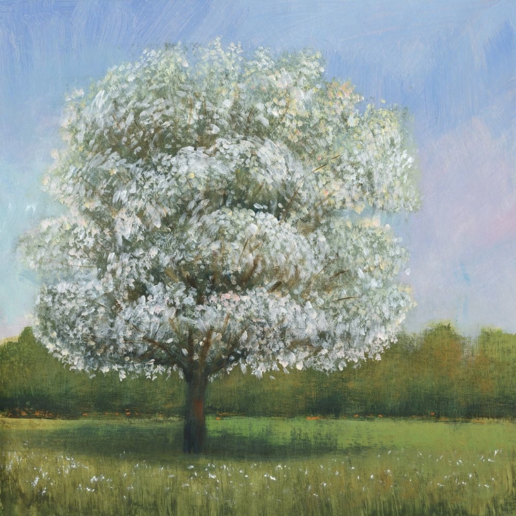 Picture of SPRING BLOSSOM TREE I