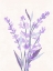 Picture of LAVENDER LAND II