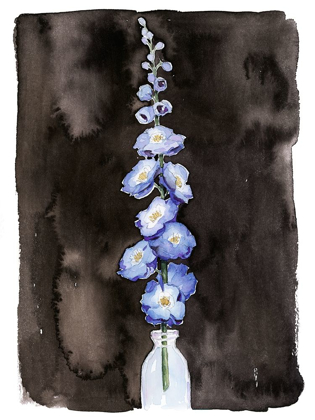 Picture of BLUE DELPHINIUM II