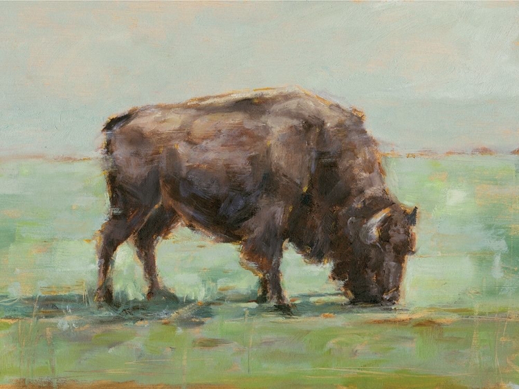 Picture of WHERE THE BUFFALO ROAM I