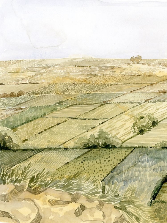 Picture of FLATLANDS I