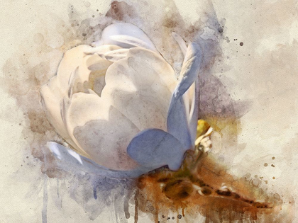 Picture of PLAYFUL PETALS IV