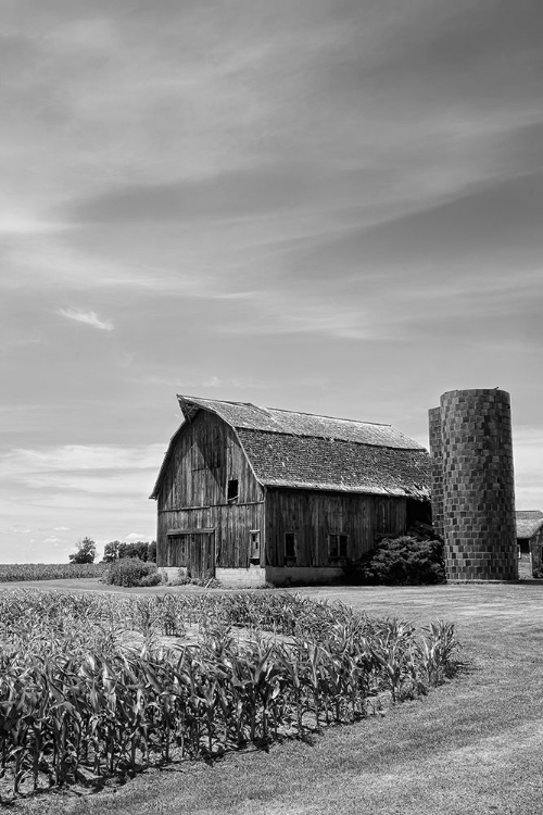 Picture of FARM SERENITY II