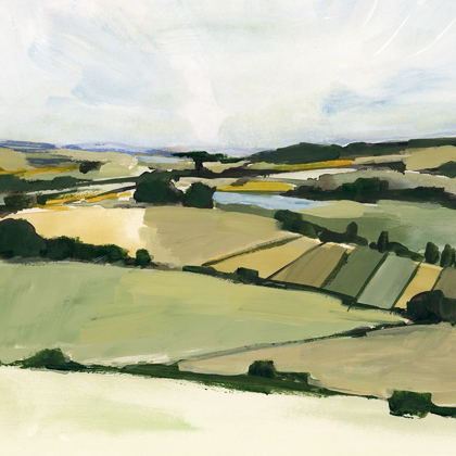 Picture of PATCHY LANDSCAPE II
