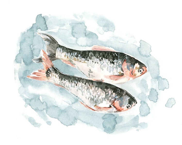 Picture of PISCES PAIR II