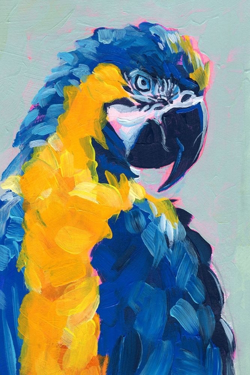 Picture of POP ART PARROT II