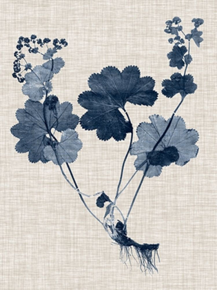 Picture of NAVY AND LINEN LEAVES IV