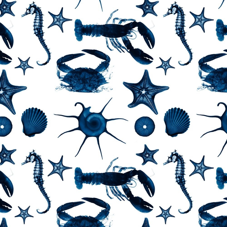 Picture of AQUATIC PATTERN 1