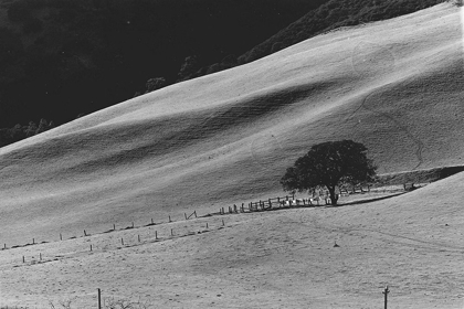 Picture of CALMING SLOPE