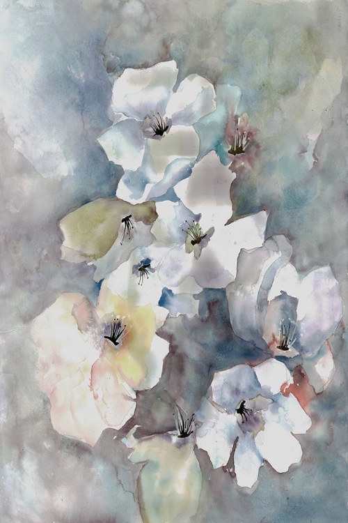 Picture of WATERCOLOR FLORALS