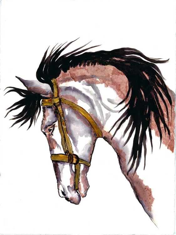 Picture of WATERCOLOR HORSE