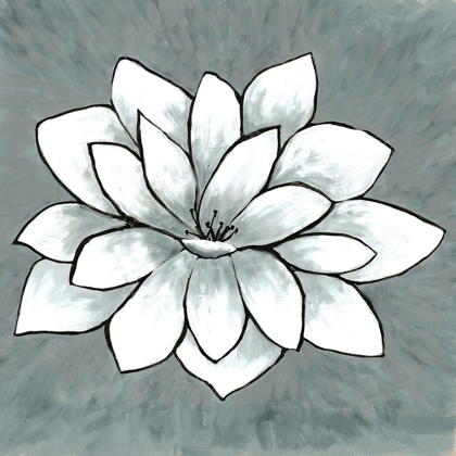 Picture of WHITE LOTUS