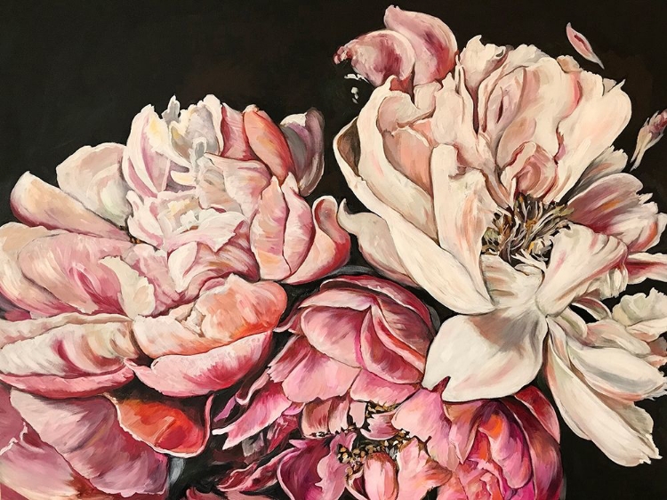 Picture of PINK PEONIES