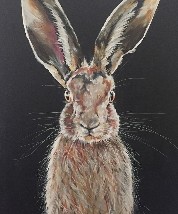 Picture of HARE