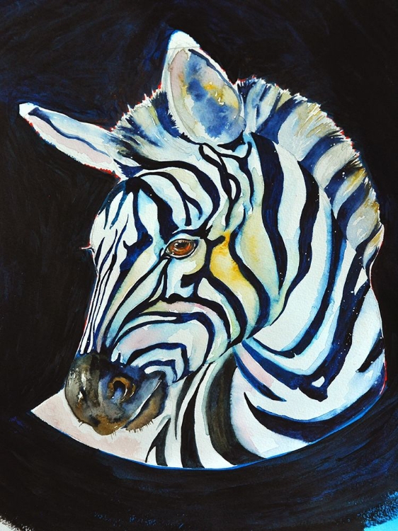 Picture of ZEBRA