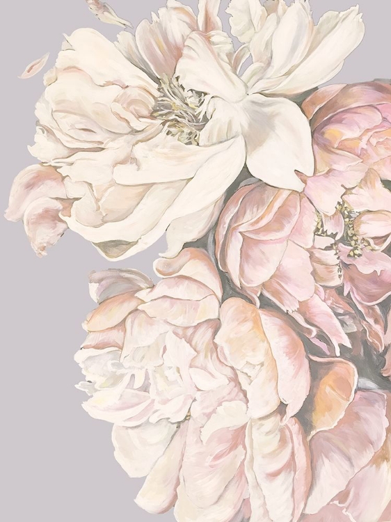 Picture of SOFT PEONIES