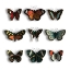 Picture of FLOATING BUTTERFLIES