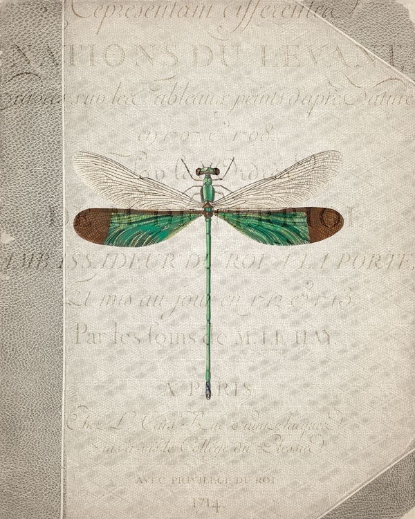 Picture of DRAGONFLY BOOK 2