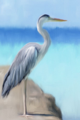 Picture of SEA HERON